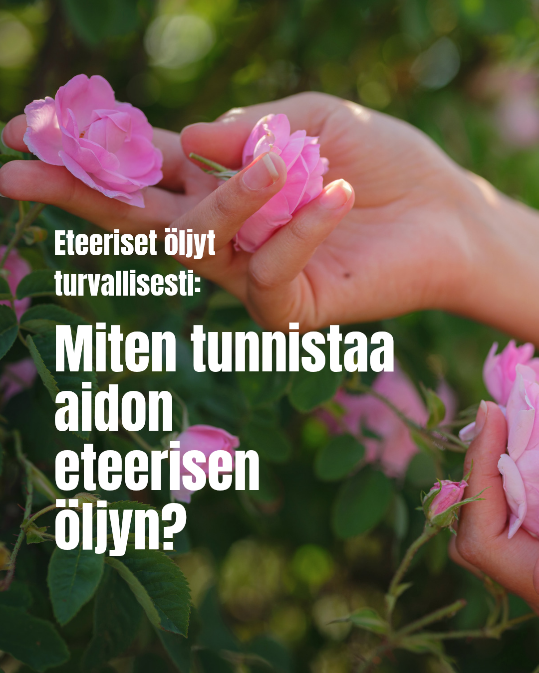 Aidon eteerisen öljyn tunnistaminen