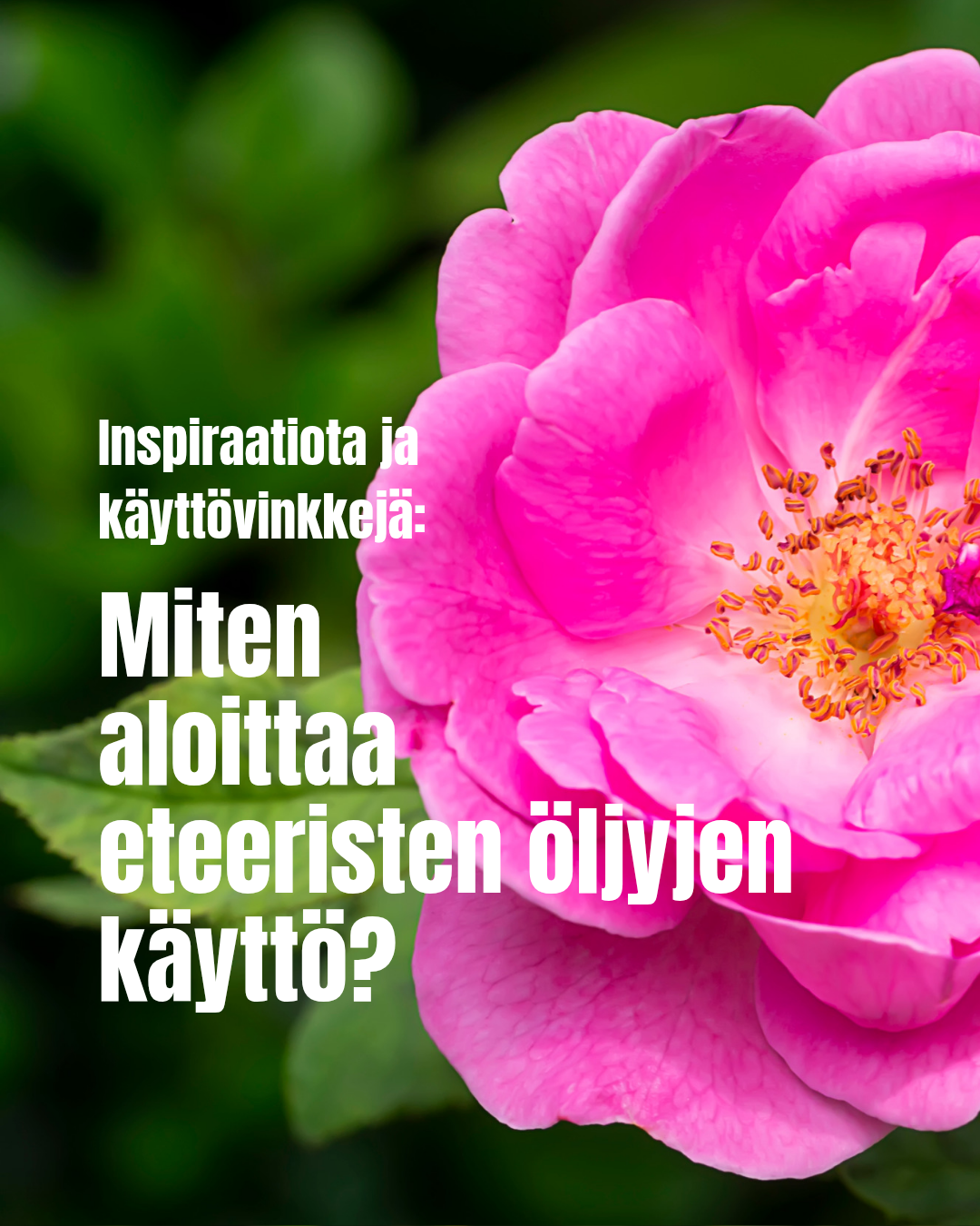 Miten aloittaa eteeristen öljyjen käyttö?