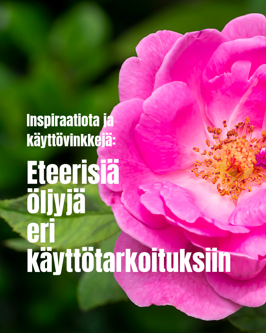 Mihin eteerisiä öljyjä käytetään?
