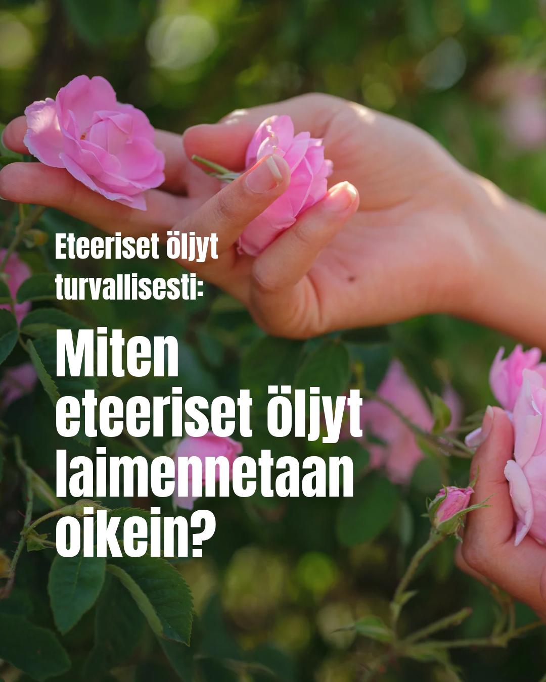 Miten eteeriset öljyt laimennetaan oikein?