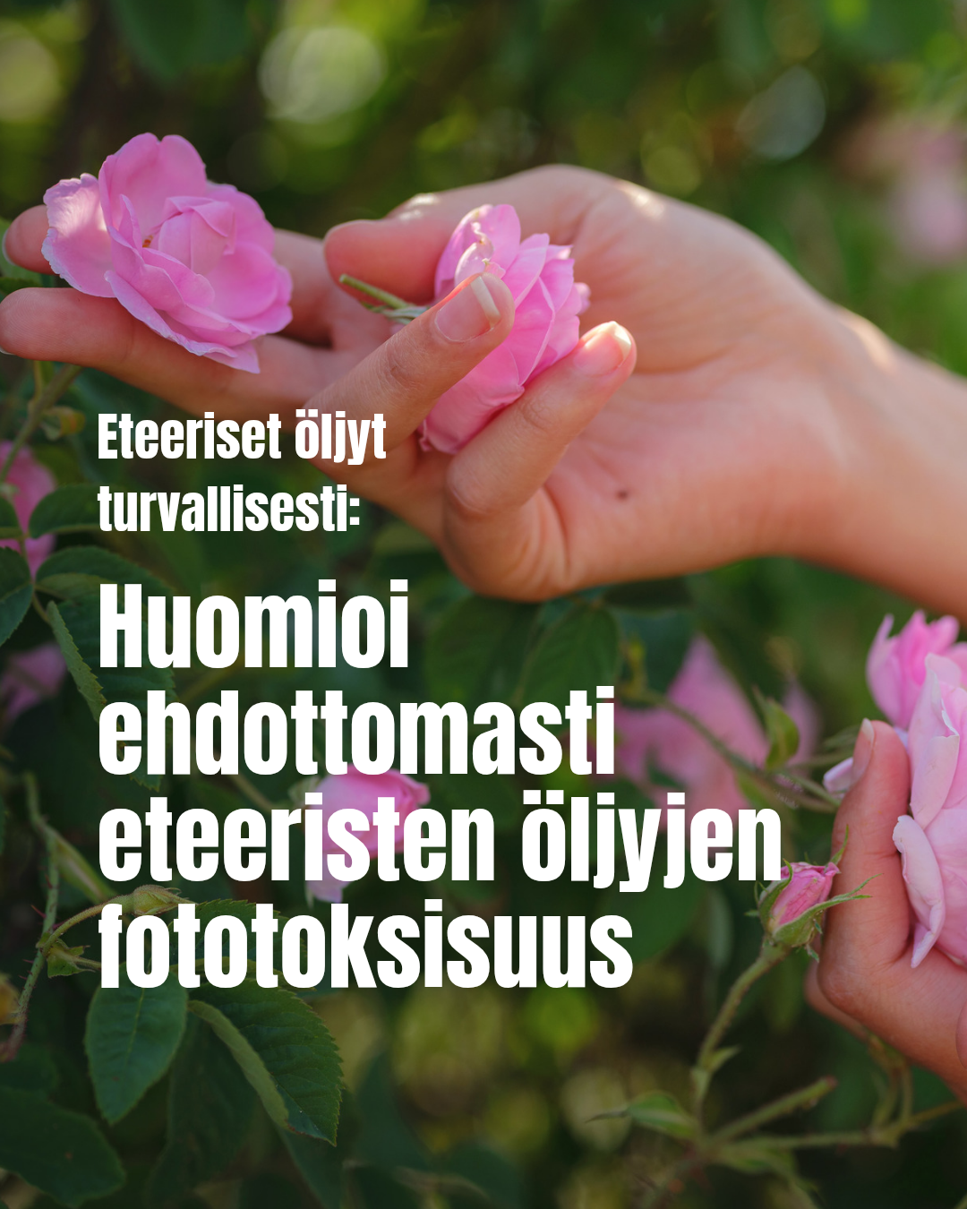 Fototoksiset eteeriset öljyt