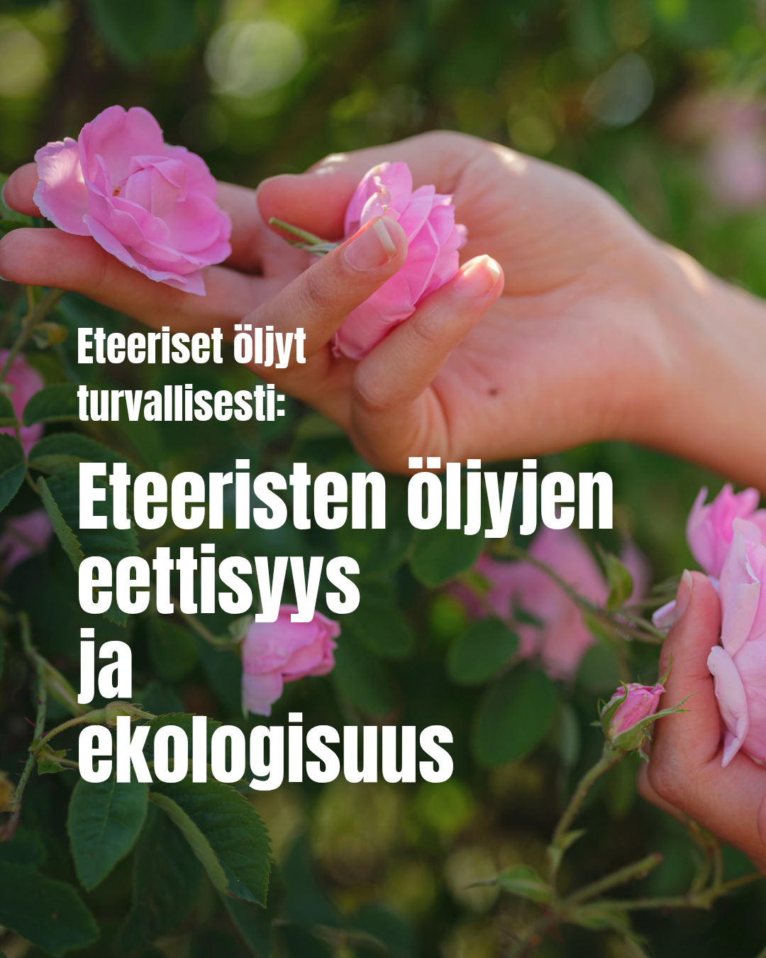 Eteeristen öljyjen eettisyys ja ekologisuus