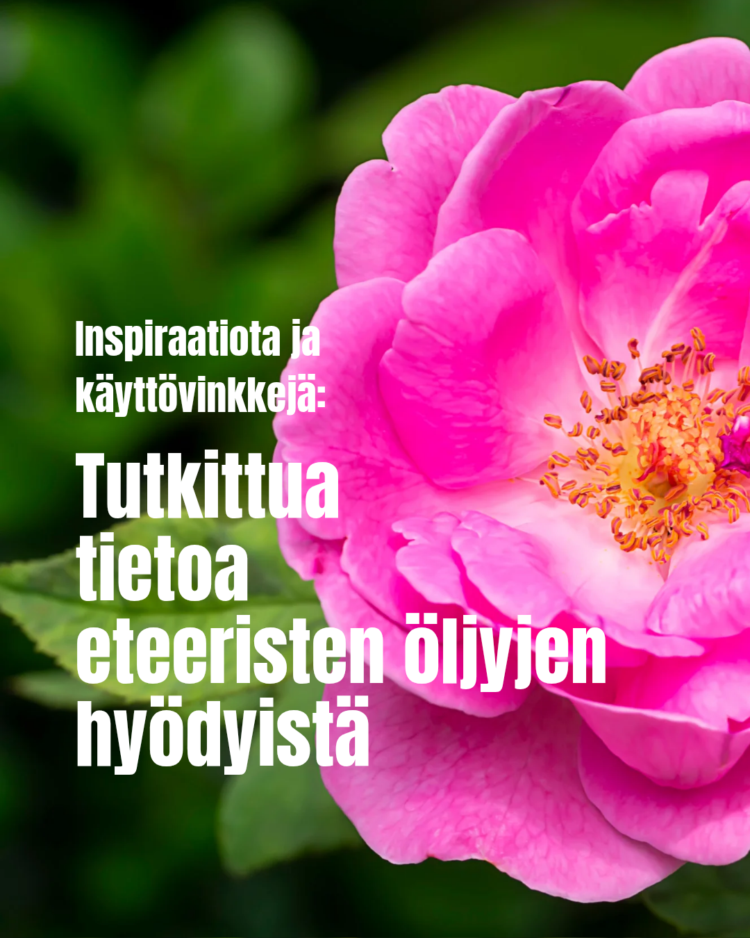 Tutkimustietoa eteeristen öljyjen hyödyistä