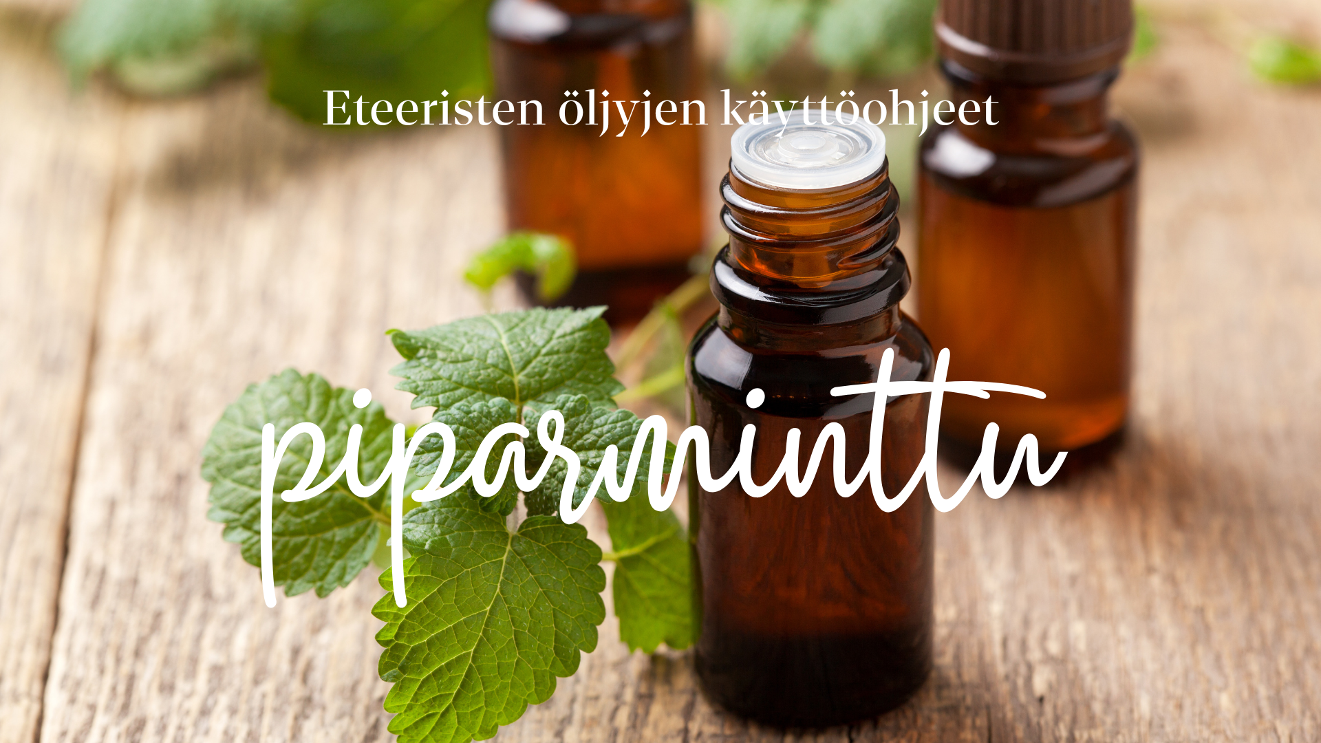 Piparmintun eteerinen öljy - käyttöohjeet & turvallisuus